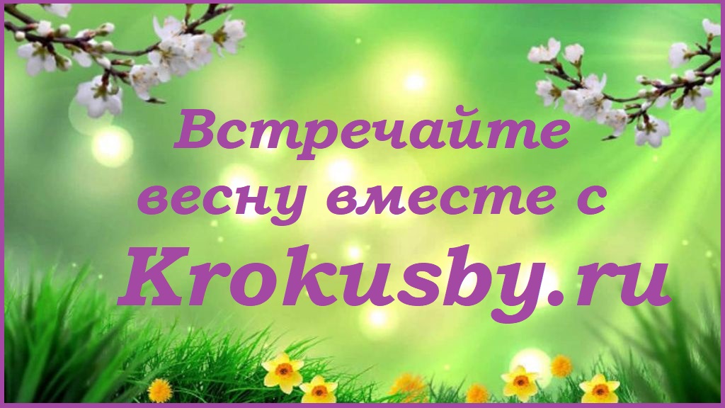 Встречайте весну вместе с Krokusby.ru